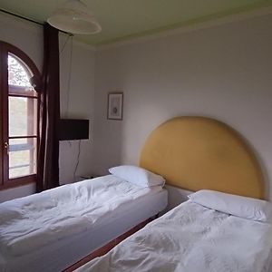 Le rondini di San Donato